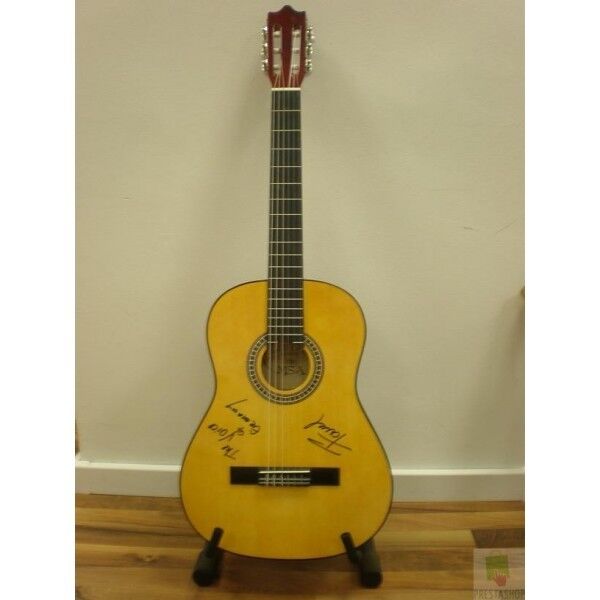 Concert guitar signed by Fanel Cornelius the Voice of Germany, autograph, new