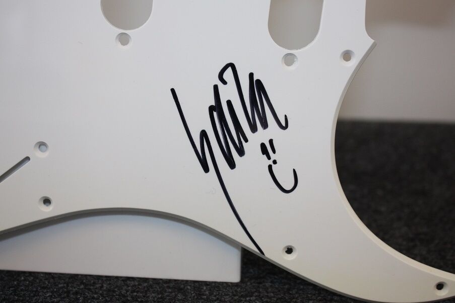 Guitar plate, Edita Abdieski signed, x factor, autograph, new, Edita Shain