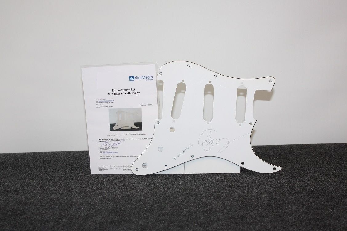 Guitar plate, Susan Sarandon signed, new, film, actress, autograph