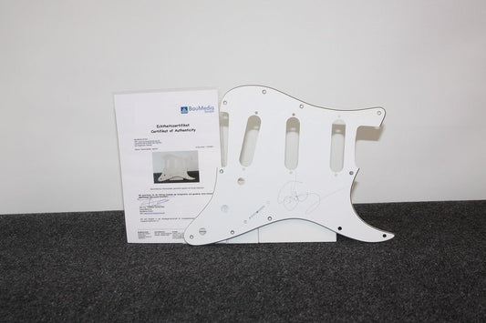 Gitarrenplatte, Susan Sarandon signiert, Neu, Film, Schauspielerin, Autogramm