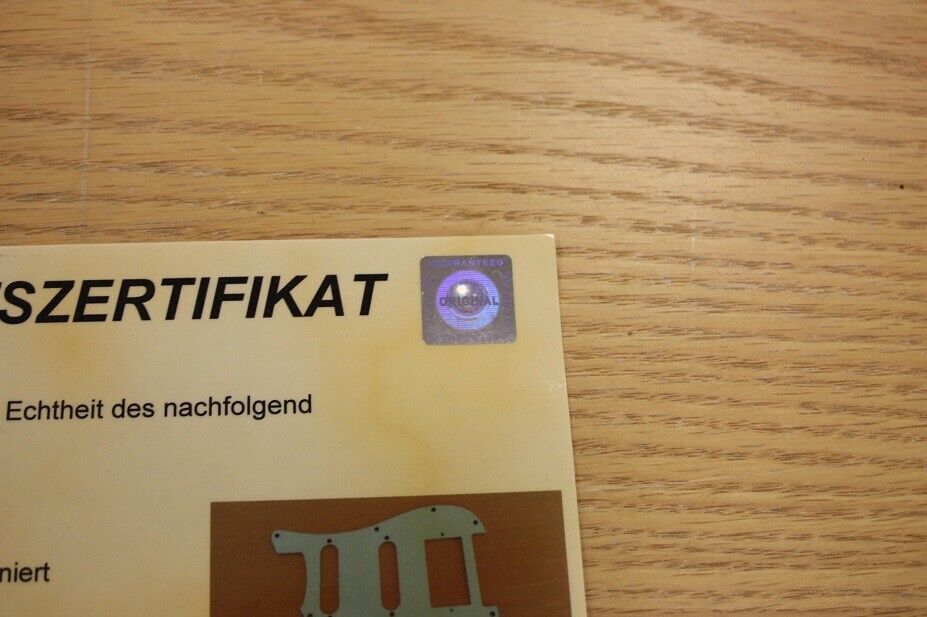 Guitar plate Kerstin Ott signs music singer charts collect autograph new