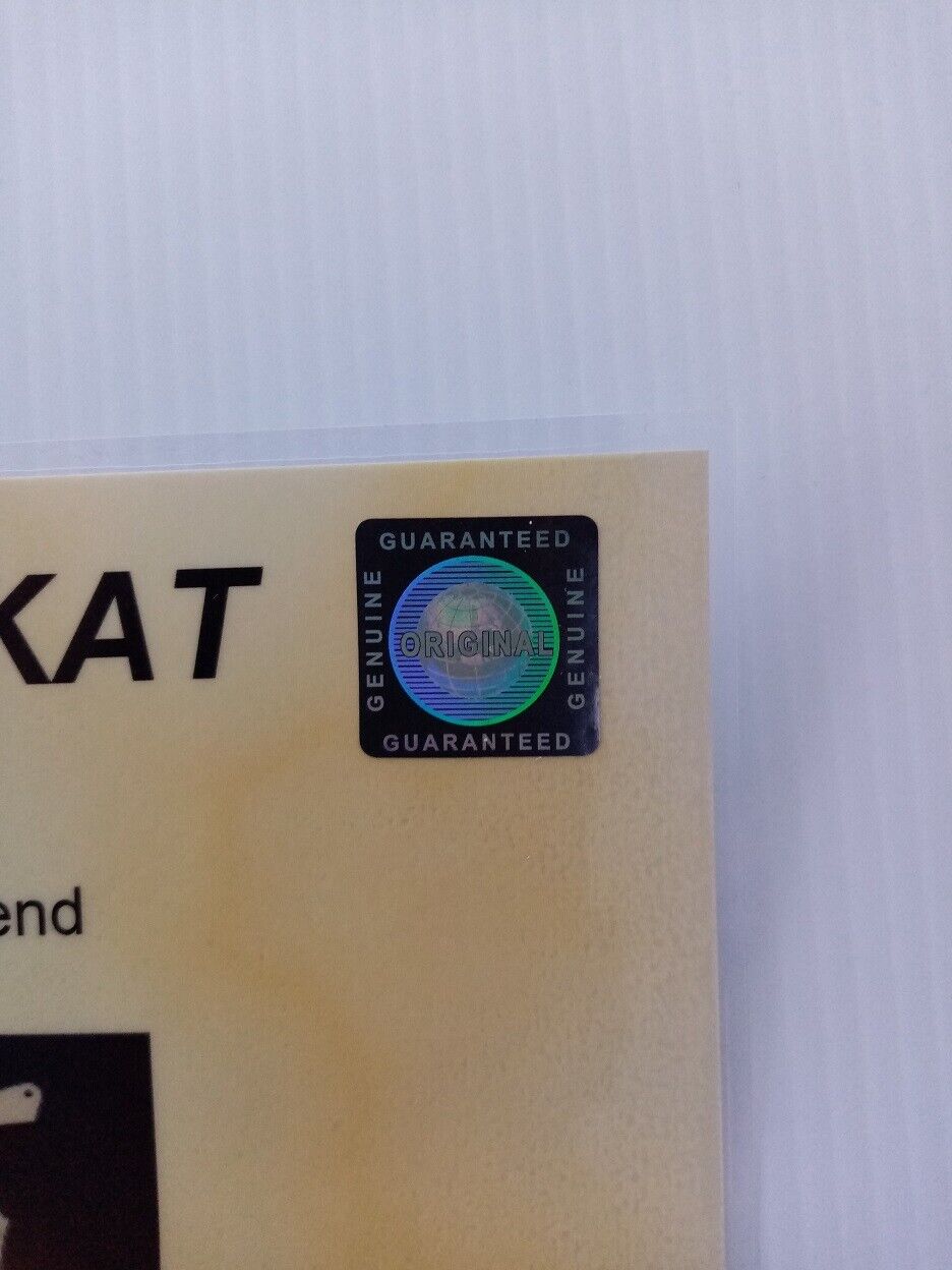 Guitar plate Joris signed music singer charts autograph new guitar