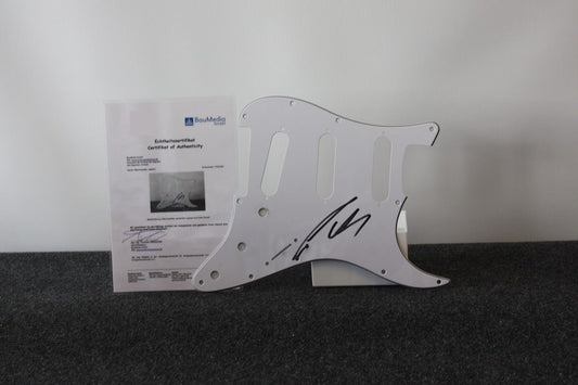 Gitarrenplatte, David Kross signiert, Film, Fernsehen, Kino, Autogramm, Sammeln