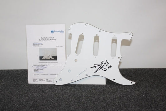 Gitarrenplatte, Ross Antony signiert, Musik Fernsehen Neu Dschungelcamp Schlager