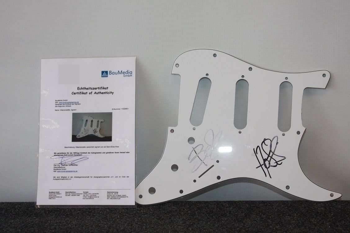 Guitar plate, bosshoss signed, autograph, music, charts, newly collect guitar