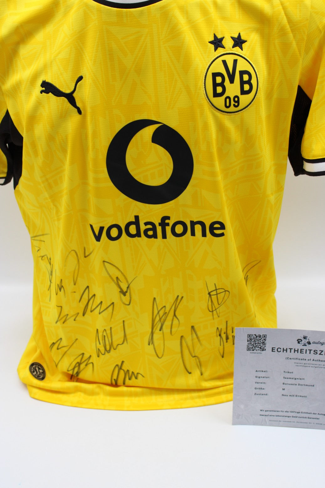 Borussia Dortmund 2026/2027 Trikot Teamsigniert Autogramm zertifiziert M