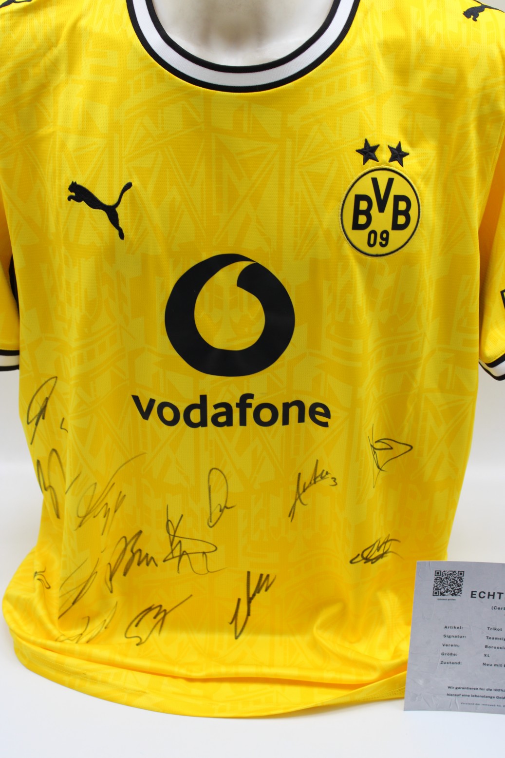 Borussia Dortmund 2026/2027 Trikot Teamsigniert Autogramm zertifiziert XL