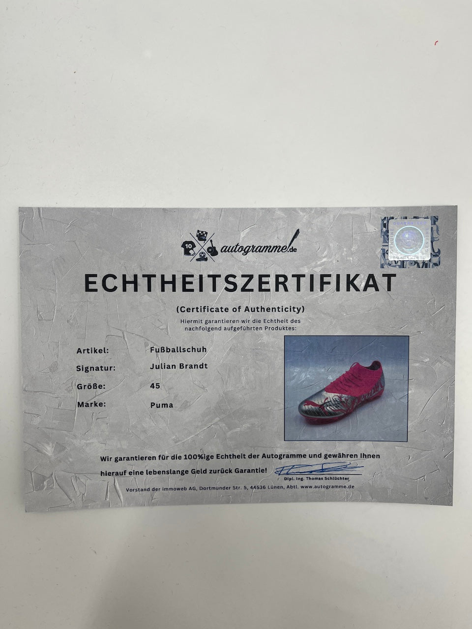 Football boots signed by Julian Brandt, Bundesliga Puma size 45
