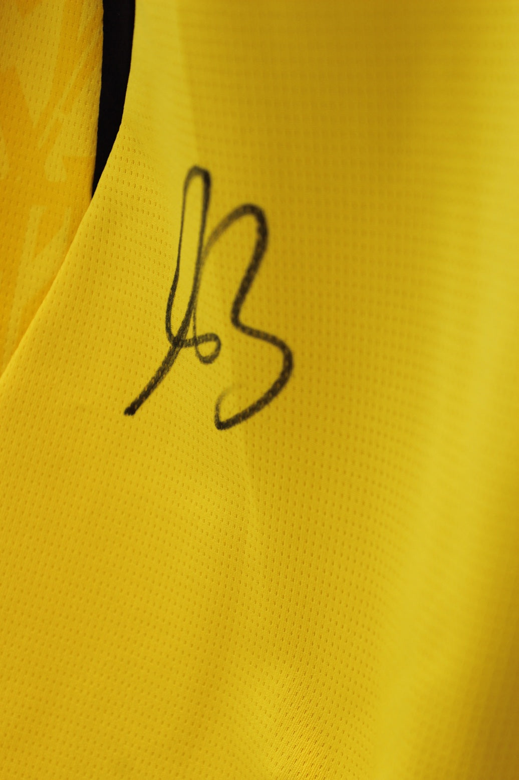Borussia Dortmund Trikot Maximilian Beier COA BVB Puma neu M 26/27