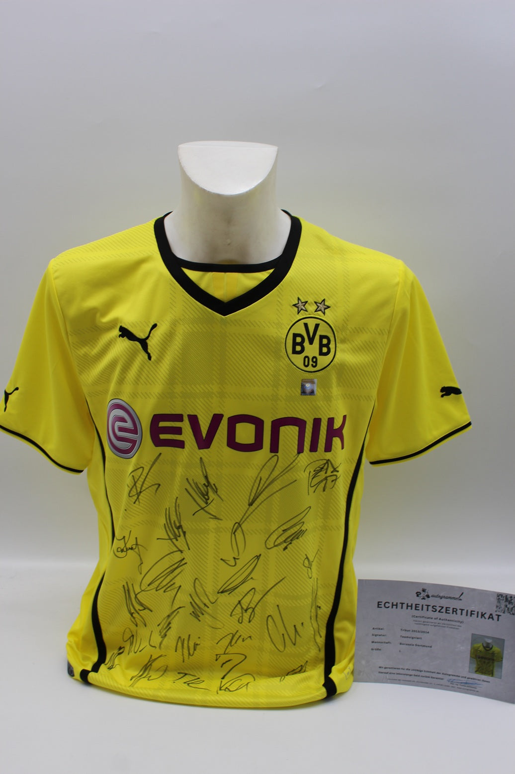 BVB Trikot 2013/2014 Teamsigniert Borussia Dortmund Puma Neu L