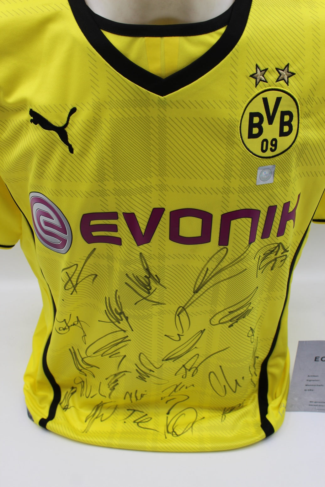 BVB Trikot 2013/2014 Teamsigniert Borussia Dortmund Puma Neu L
