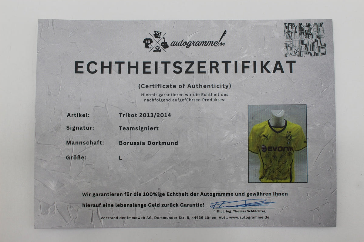 BVB Trikot 2013/2014 Teamsigniert Borussia Dortmund Puma Neu L
