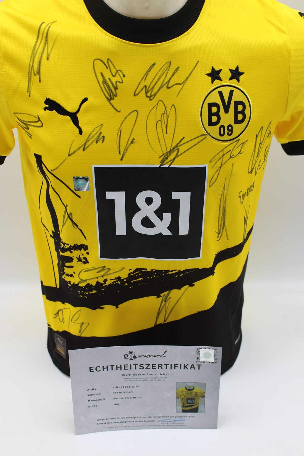 BVB Trikot 2023/2024 Teamsigniert Borussia Dortmund Puma Neu 164