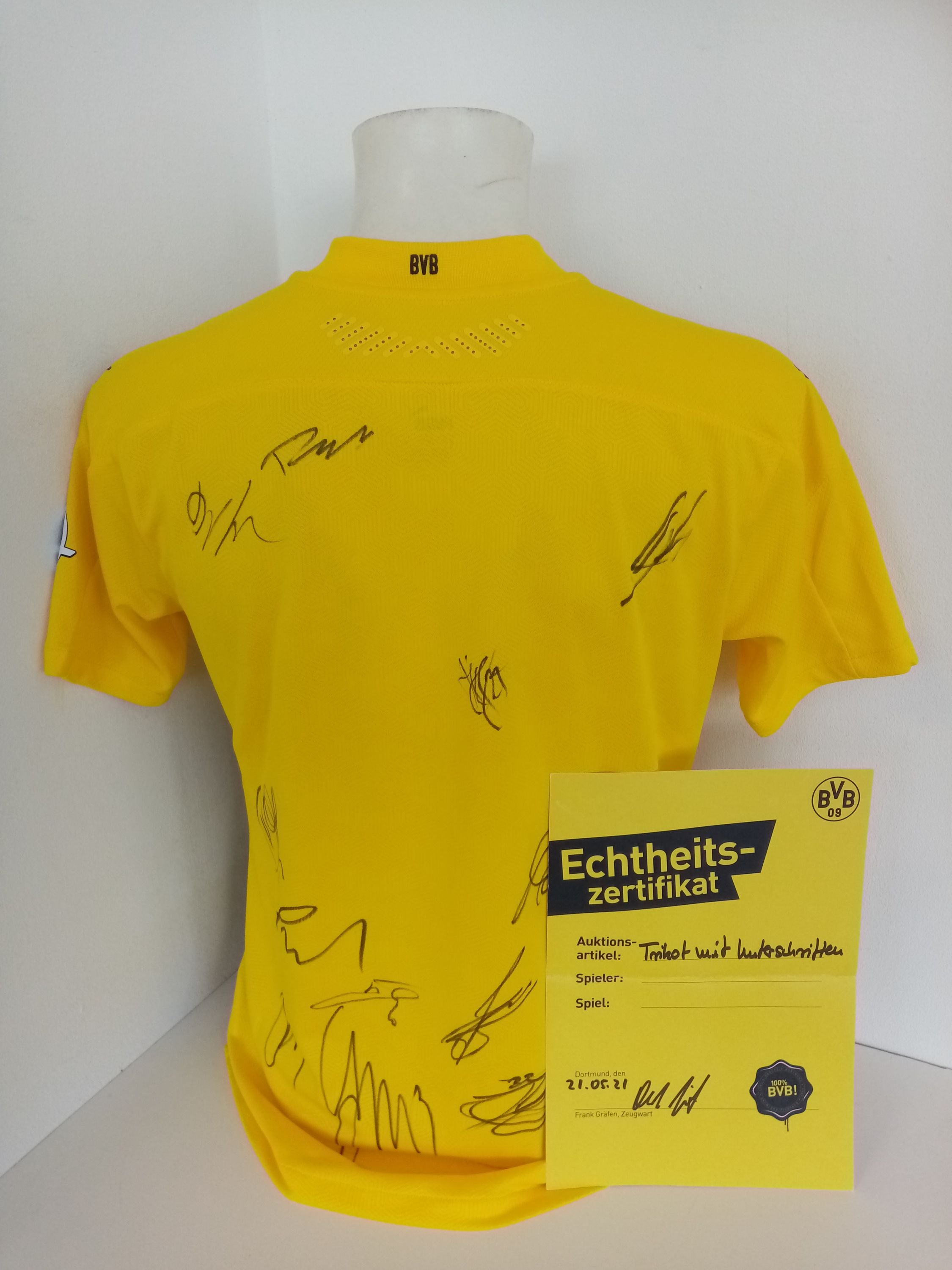 BVB Authentic Trikot 2020/2021 team signed Borussia Dortmund Coa Puma M
