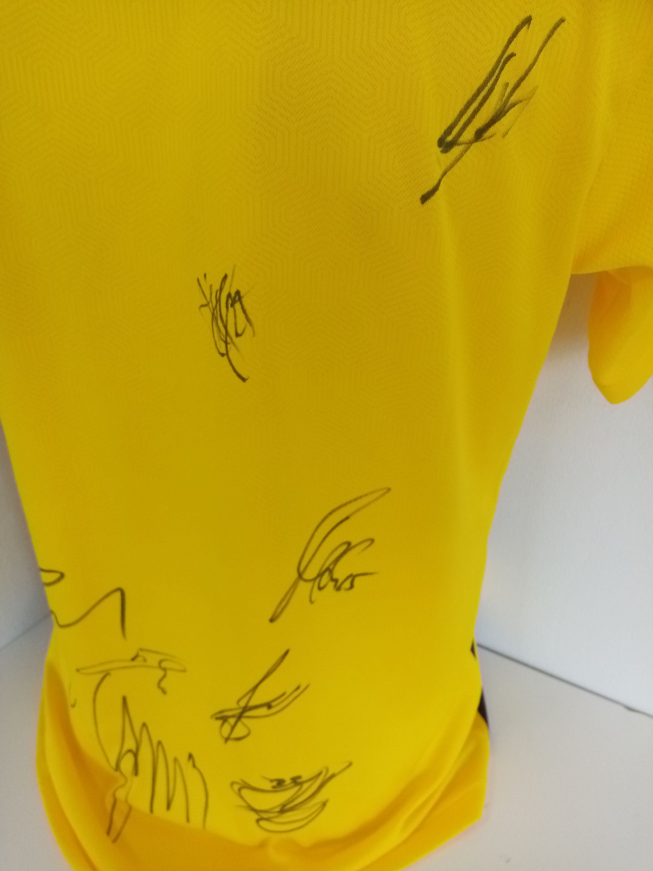 BVB Authentic Trikot 2020/2021 team signed Borussia Dortmund Coa Puma M