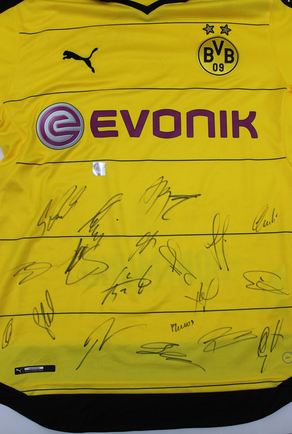 BVB Trikot 2015/2016 Teamsigniert Borussia Dortmund Puma Neu M
