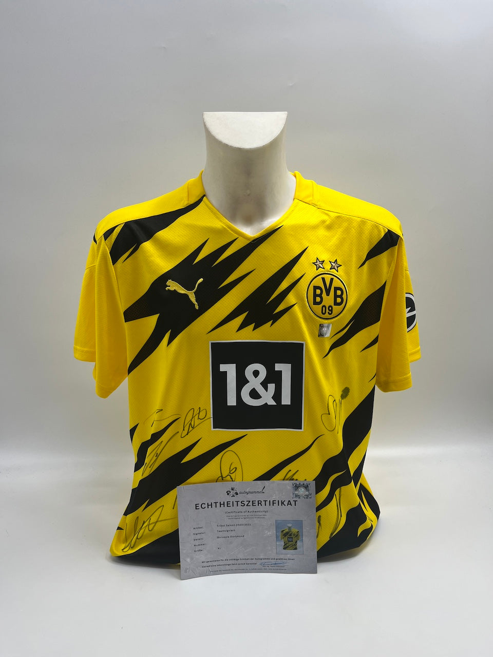 BVB Trikot 2020/2021 Teamsigniert Borussia Dortmund COA Puma Haaland XL