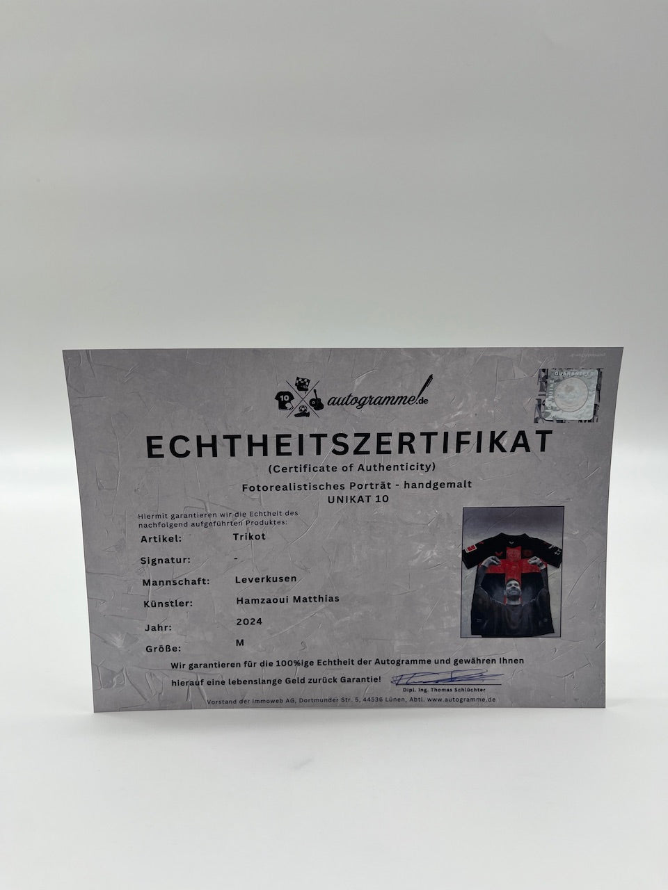 Leverkusen jersey portrait Xabi Alonso and team hand painted M
