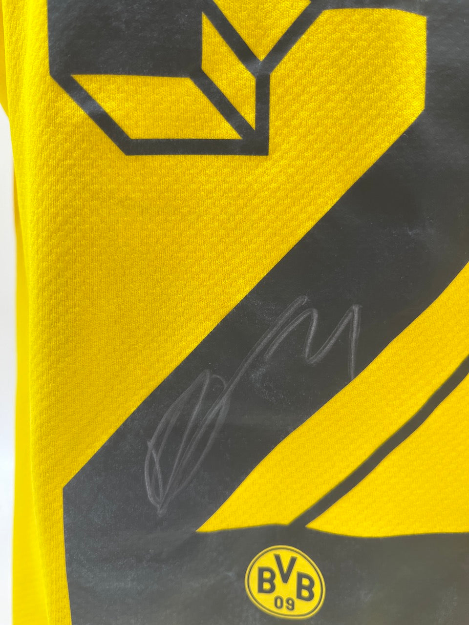 Matchworn Dortmund Worn & Signed by Donyell painting 24.11.2022