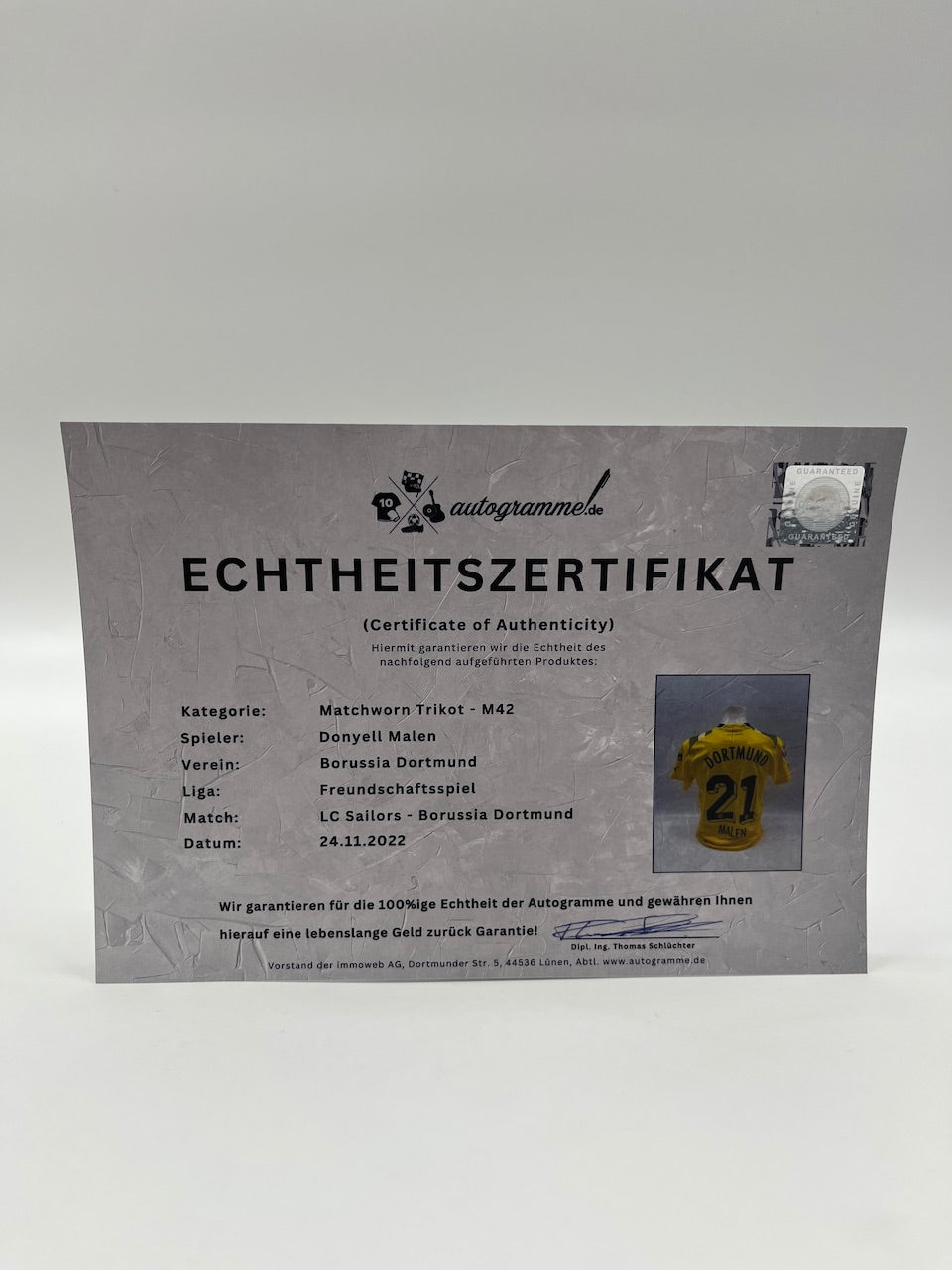 Matchworn Dortmund Worn & Signed by Donyell painting 24.11.2022