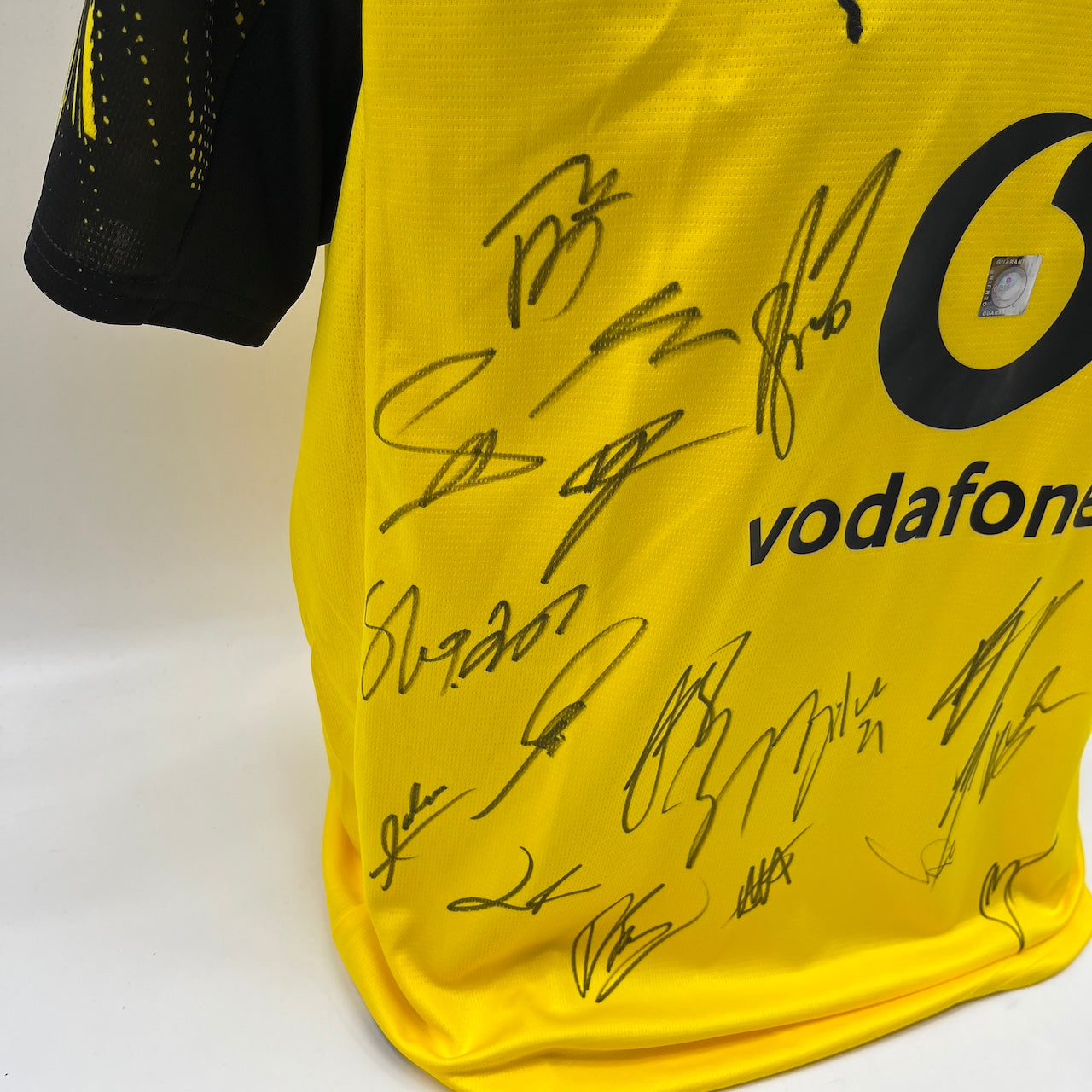 BVB Trikot 2025/2026 Teamsigniert Borussia Dortmund Neu Puma L