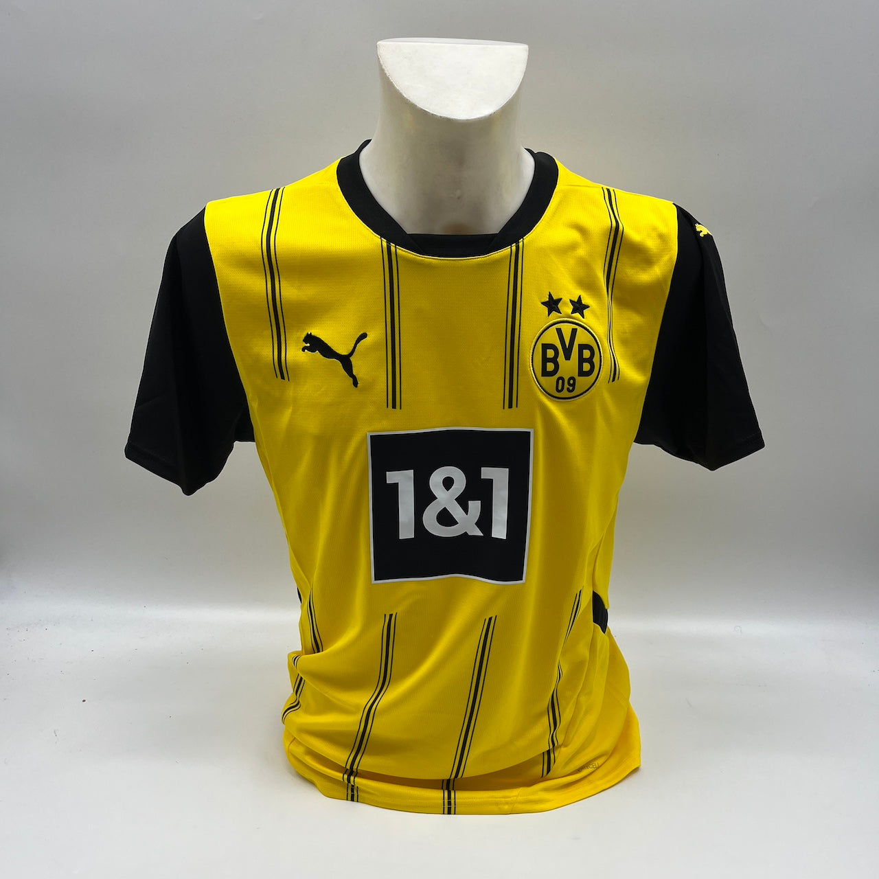BVB Trikot 2024/2025 Teamsigniert Borussia Dortmund COA Puma neu M