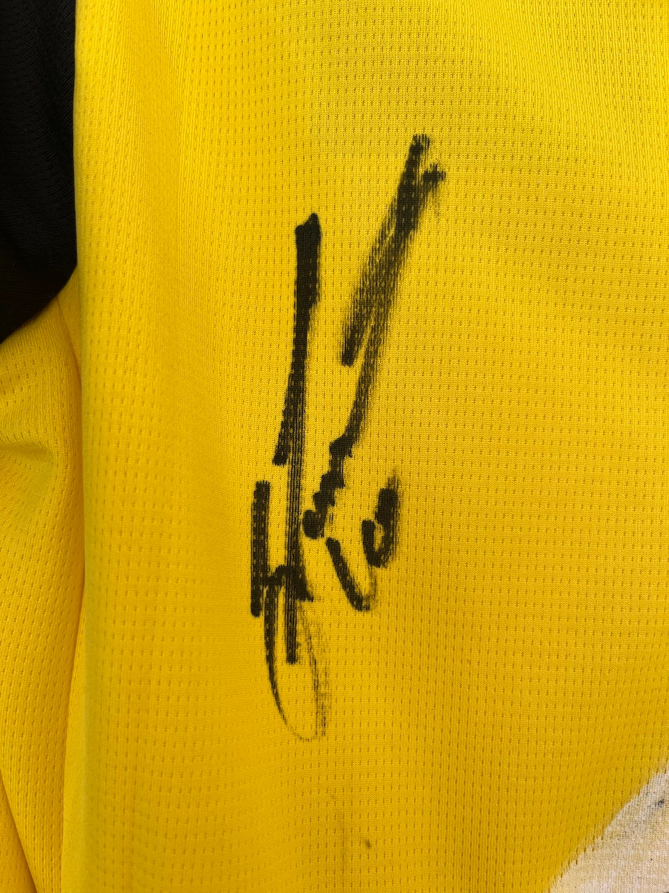 Borussia Dortmund jersey portrait Julian Brandt hand painted and signed Puma M