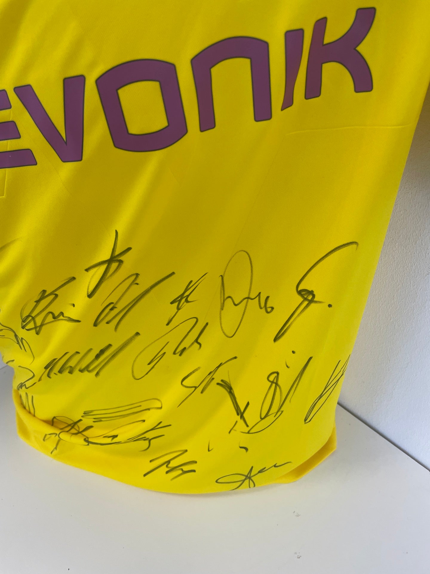 BVB Trikot 2018/2019 team signed Borussia Dortmund Coa Puma L