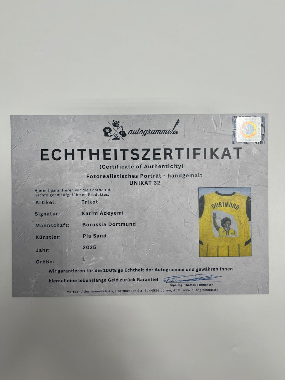 Borussia Dortmund jersey portrait karim adeyemi hand painted puma l