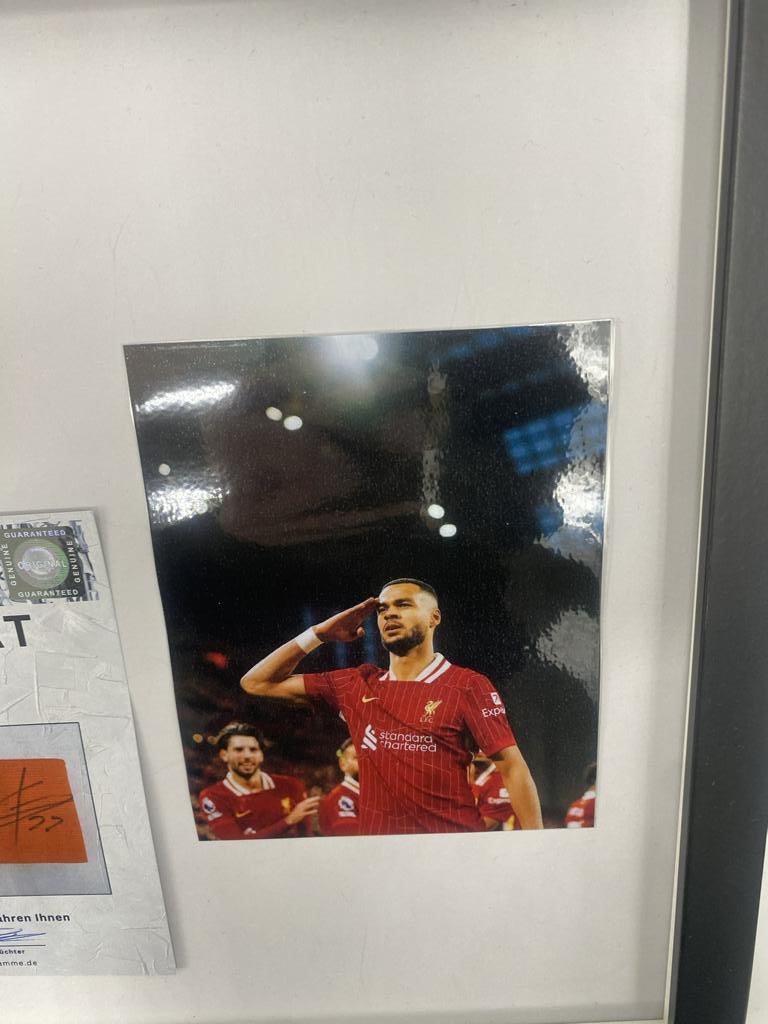 Captain's armband signed by Cody Gakpo in a frame FC Liverpool autograph COA