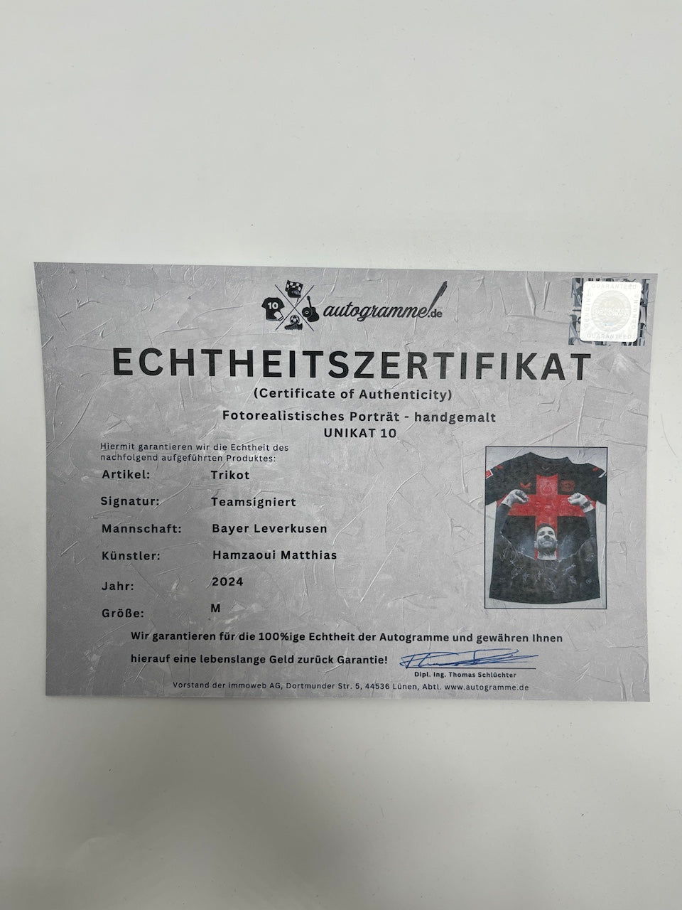 Leverkusen jersey portrait Xabi Alonso and team hand painted M