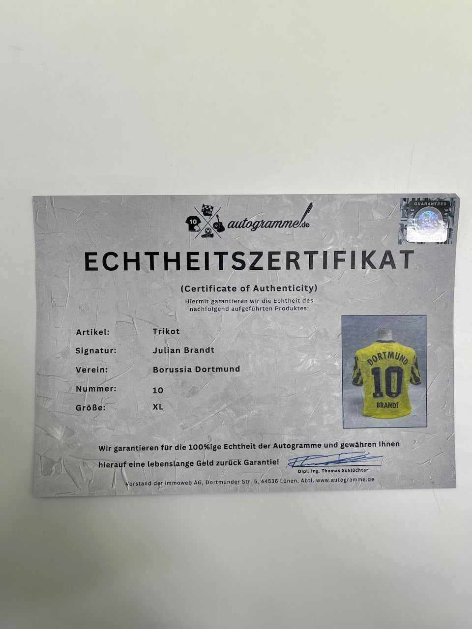 BVB Sondertrikot signiert Julian Brandt BVB Autogramm Puma XL