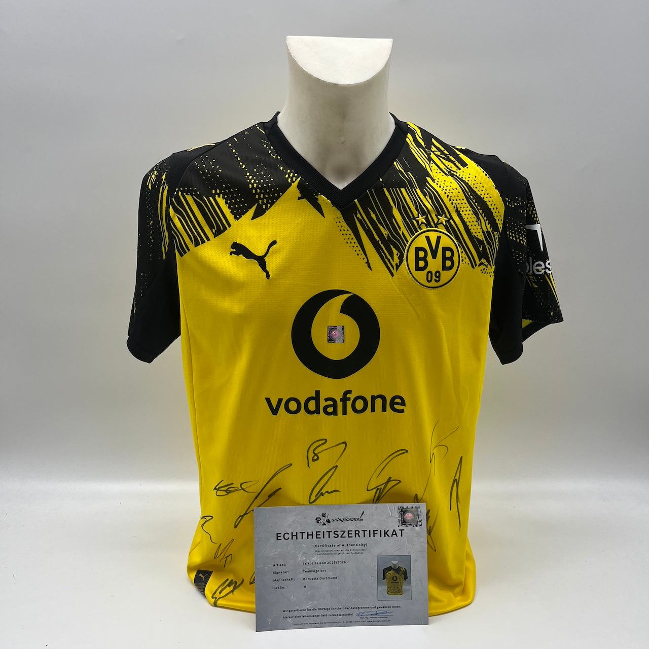 BVB Trikot 2025/2026 Teamsigniert Borussia Dortmund Puma M
