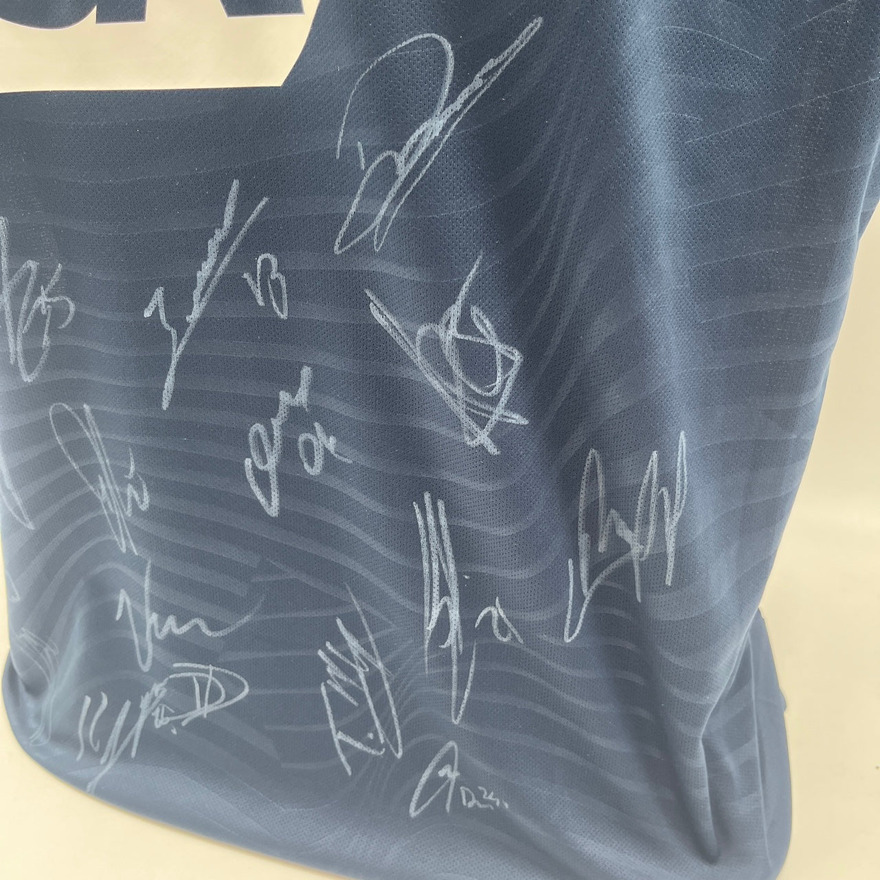 TSG Hoffenheim Authentic-Trikot Ihlas Bebou + Teamsigniert Autogramm neu L