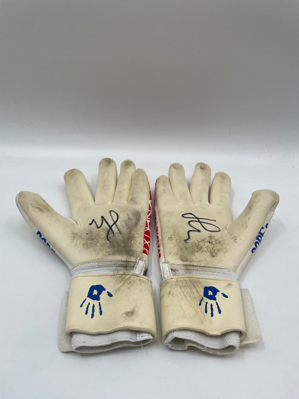 Goalkeeper gloves Marvin Hitz worn + signed autograph dortmund matchworn
