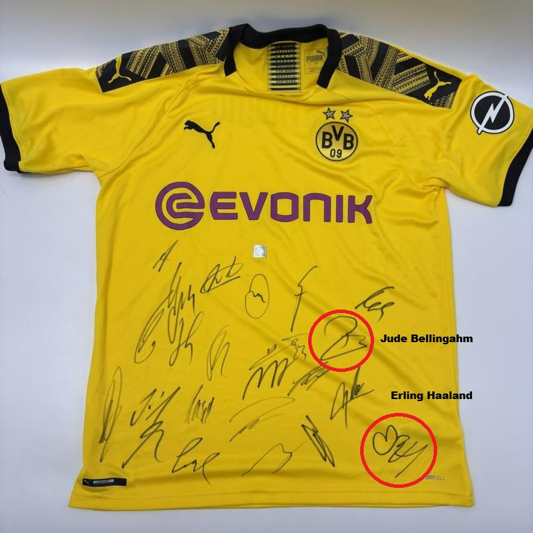 BVB Trikot 2019/2020 Teamsigniert Borussia Dortmund Puma L