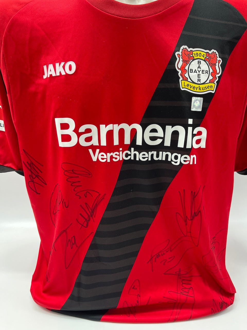 Bayer Leverkusen jersey 2017/2018, team signed, autographed, COA Jako XXL