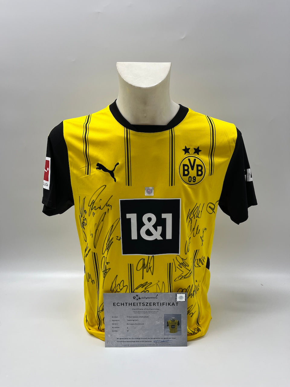 BVB Trikot 2024/2025 Teamsigniert Borussia Dortmund Bundesliga COA Puma M
