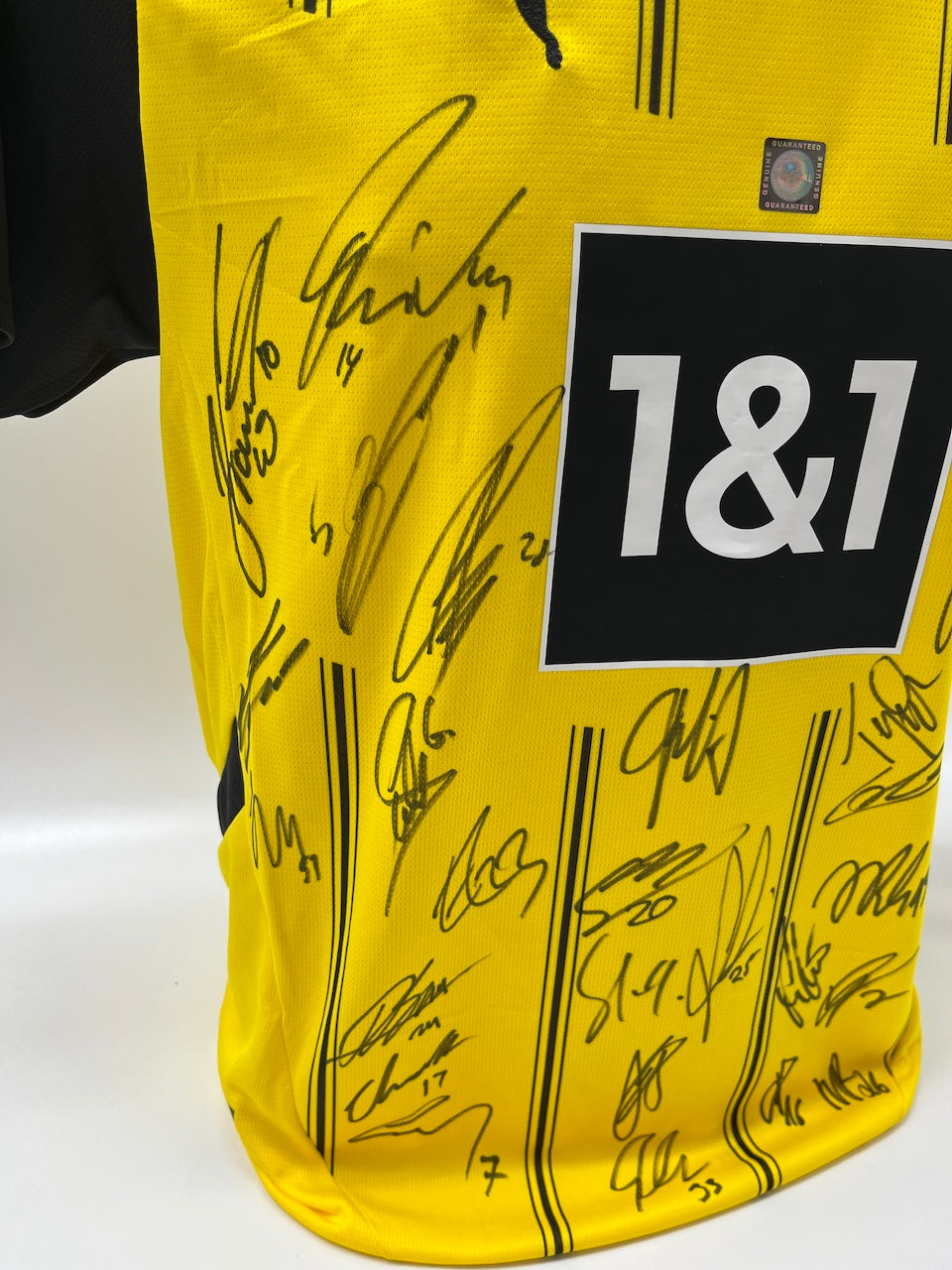 BVB Trikot 2024/2025 Teamsigniert Borussia Dortmund Bundesliga COA Puma M