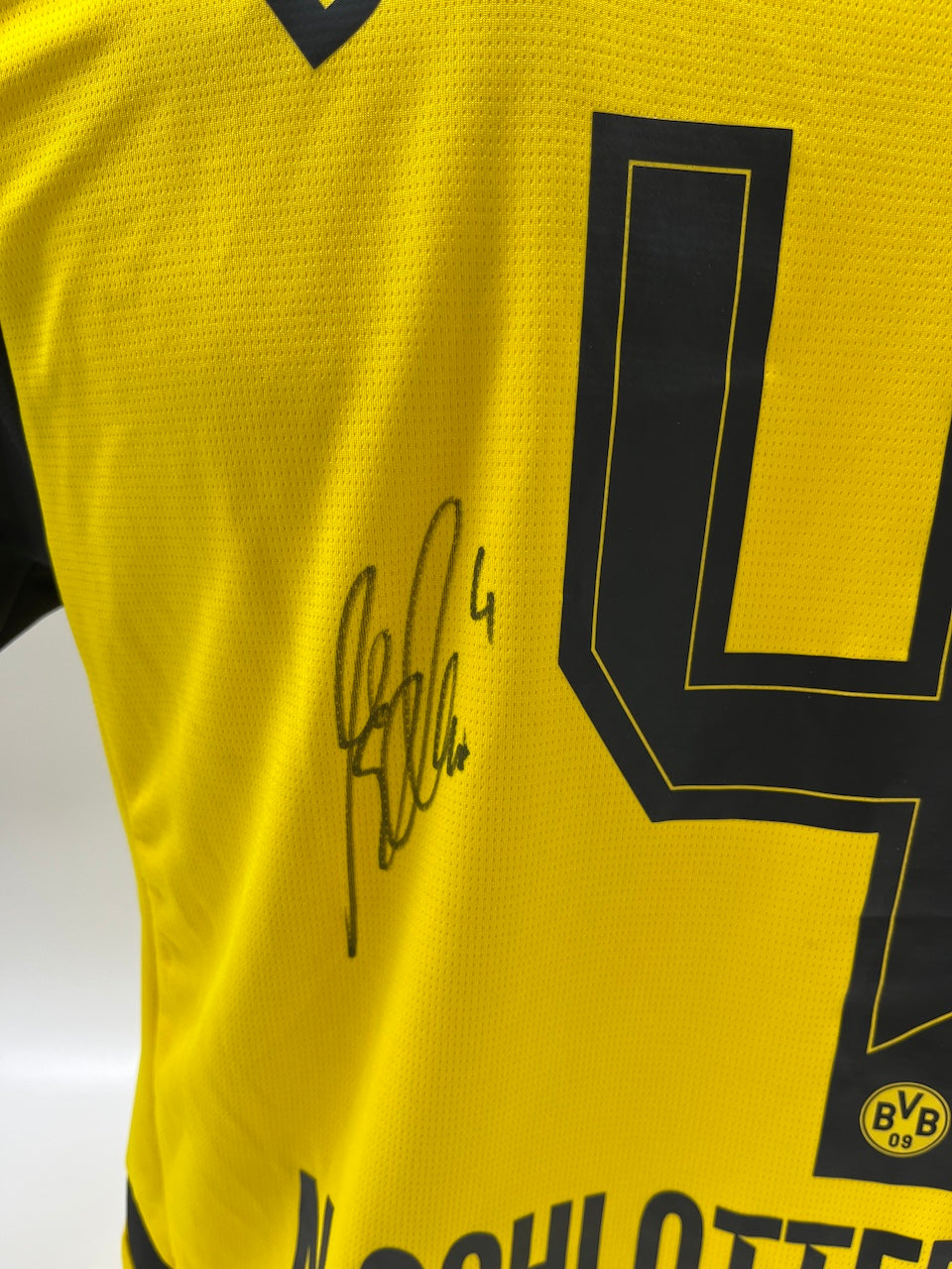 BVB Trikot 2024/2025 Teamsigniert Borussia Dortmund Bundesliga COA Puma M