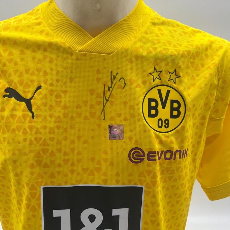 Borussia Dortmund Trainingsshirt Waldemar Anton signiert Puma COA Autogramm L