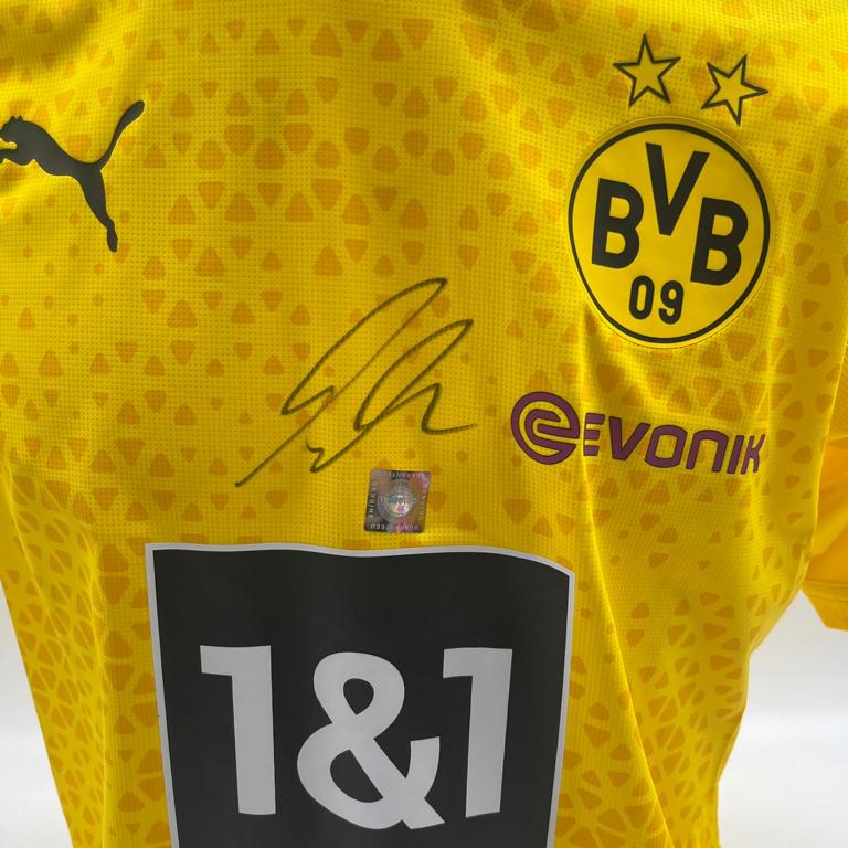 Borussia Dortmund Trainingsshirt Alexander Meyer signiert Puma COA Autogramm L