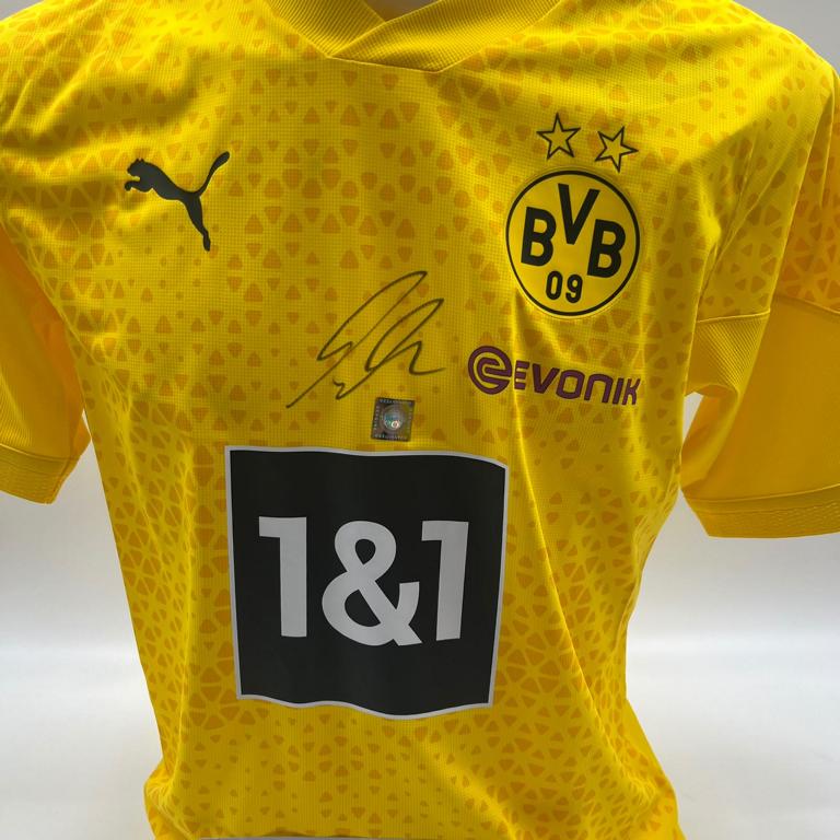 Borussia Dortmund Trainingsshirt Alexander Meyer signiert Puma COA Autogramm L