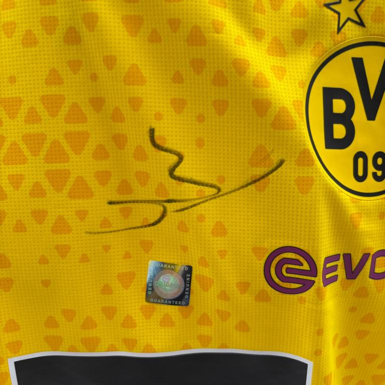 Borussia Dortmund Trainingsshirt Alexander Meyer signiert Puma COA Autogramm L