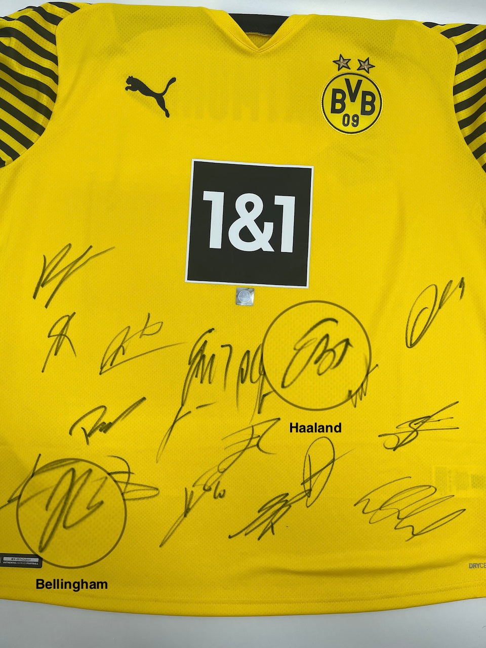 BVB jersey 2021/2022 team signed Borussia Dortmund Bellingham Haaland Puma XL