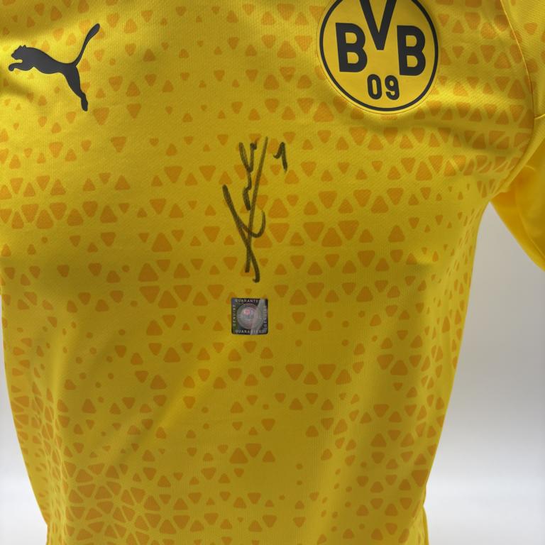 Borussia Dortmund Trainingsshirt Waldemar Anton signiert Puma COA Autogramm S