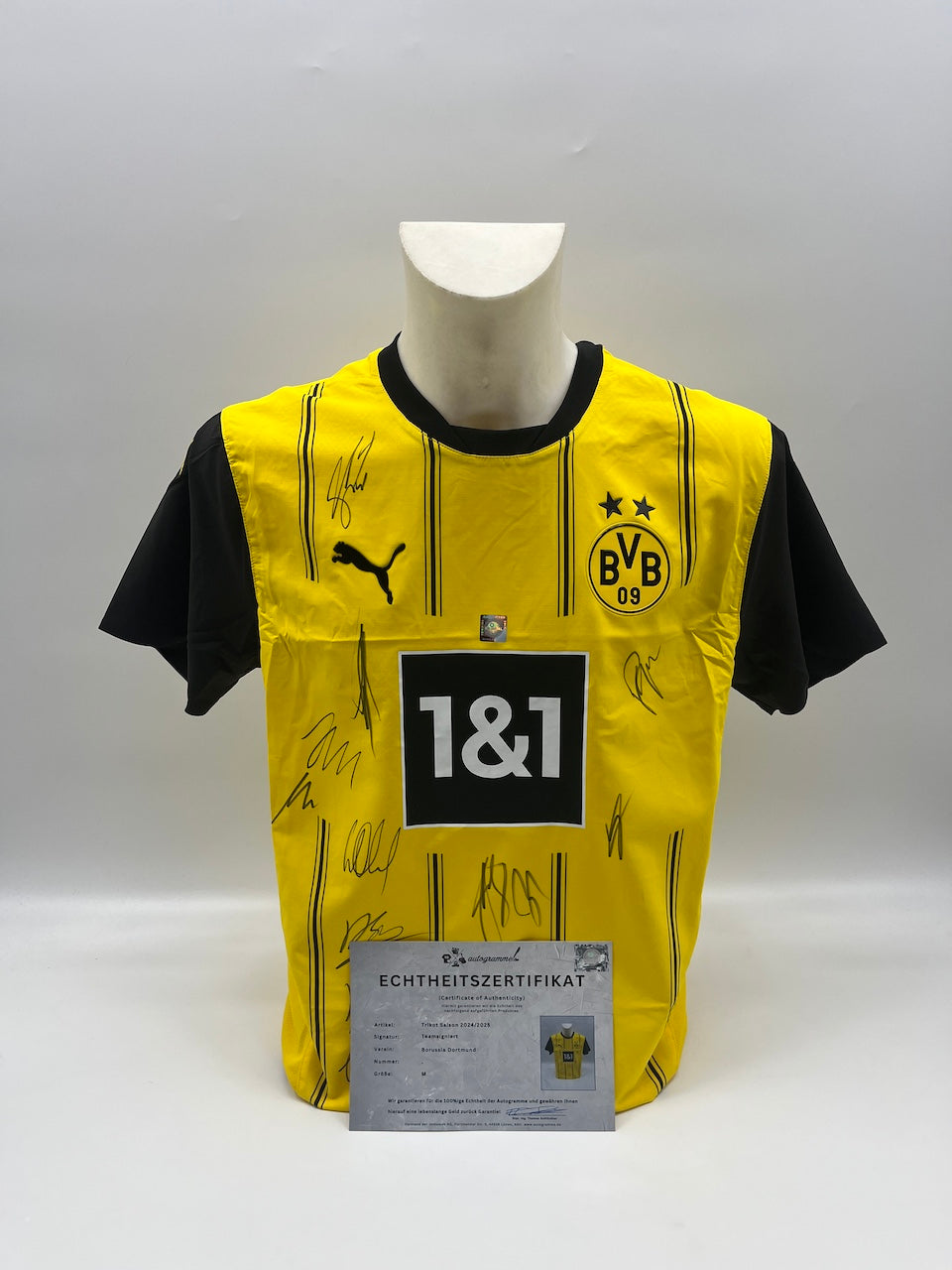 BVB jersey 2024/2025 team signed Borussia Dortmund COA Puma M