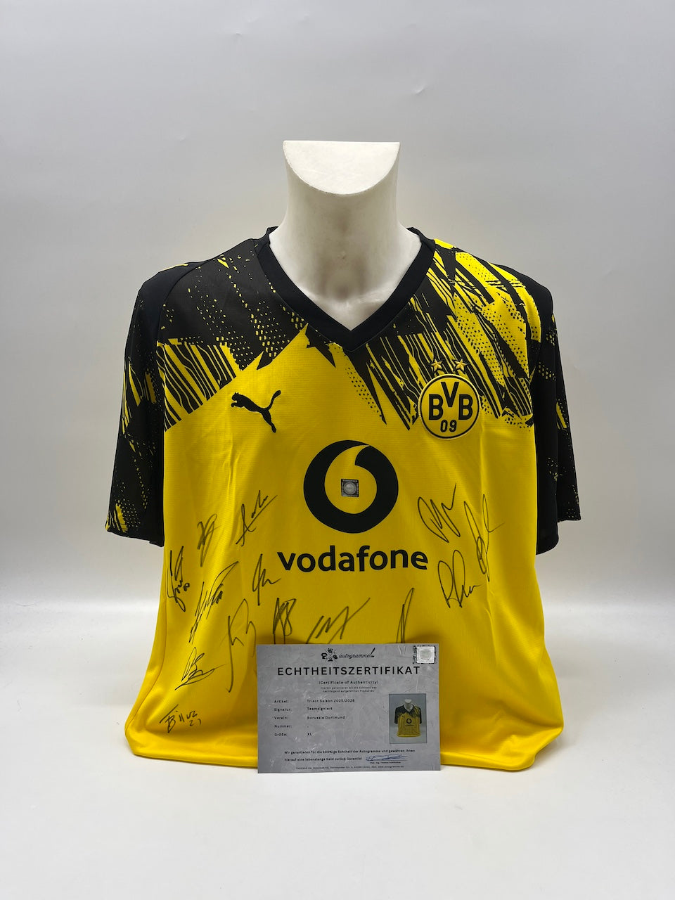 BVB Jersey 2025/2026 Team Signed Borussia Dortmund New Puma XL