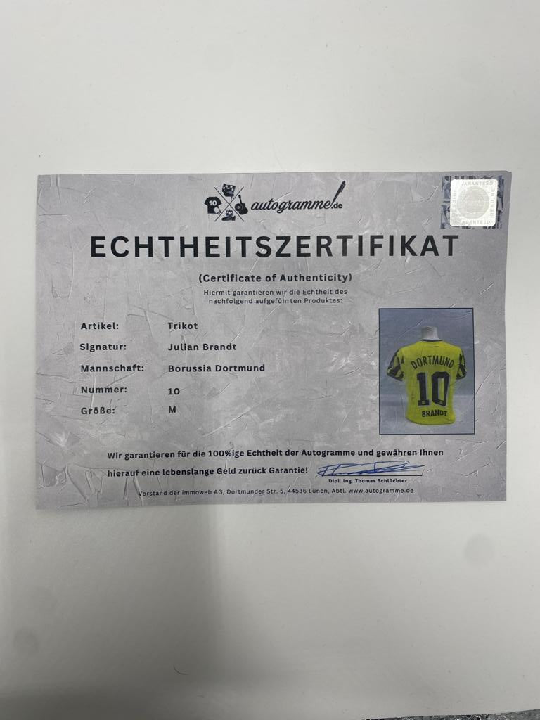 Borussia Dortmund Trikot Julian Brandt signiert Puma COA Autogramm M