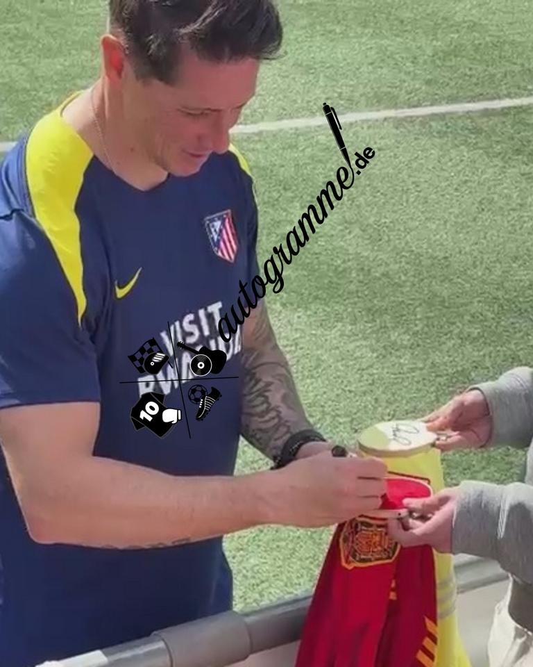 Spanien Trikot Fernando Torres signiert Adidas COA Autogramm XL